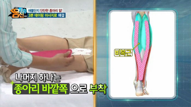 내가 모은 잡다한 정보들 데이터주의 | 인스티즈