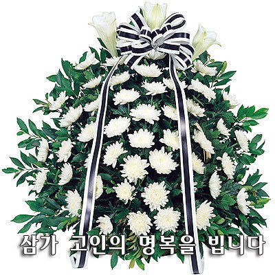 춘연 이미지