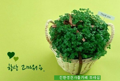 행운 이미지