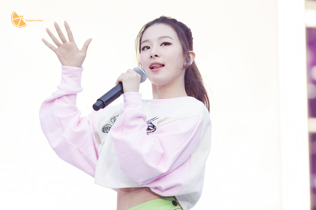 와이지 이미지