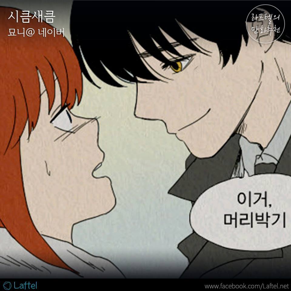 달달한 로맨스 웹툰 추천 20선 | 인스티즈