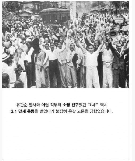 독립운동에 대한 우리나라의 이중적인 모습 | 인스티즈