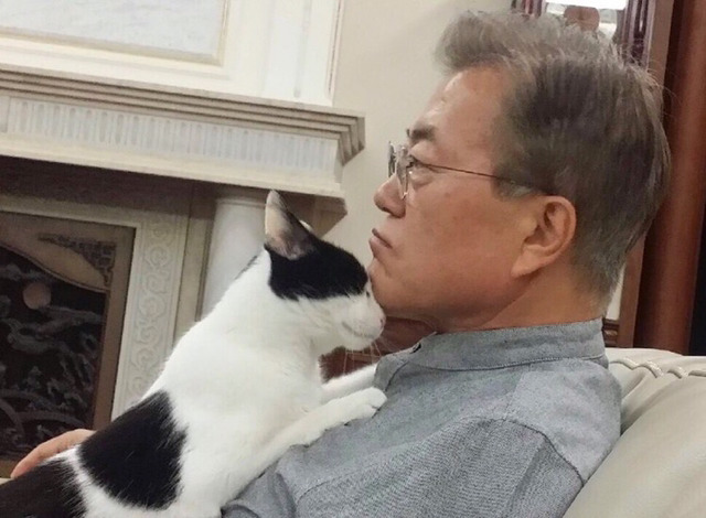 냥집사들 🐱 (사진 엄청많음 주의) | 인스티즈