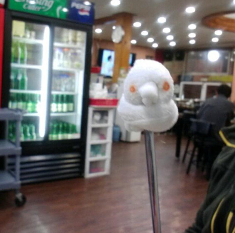 식당 물수건으로 오리만들기 | 인스티즈