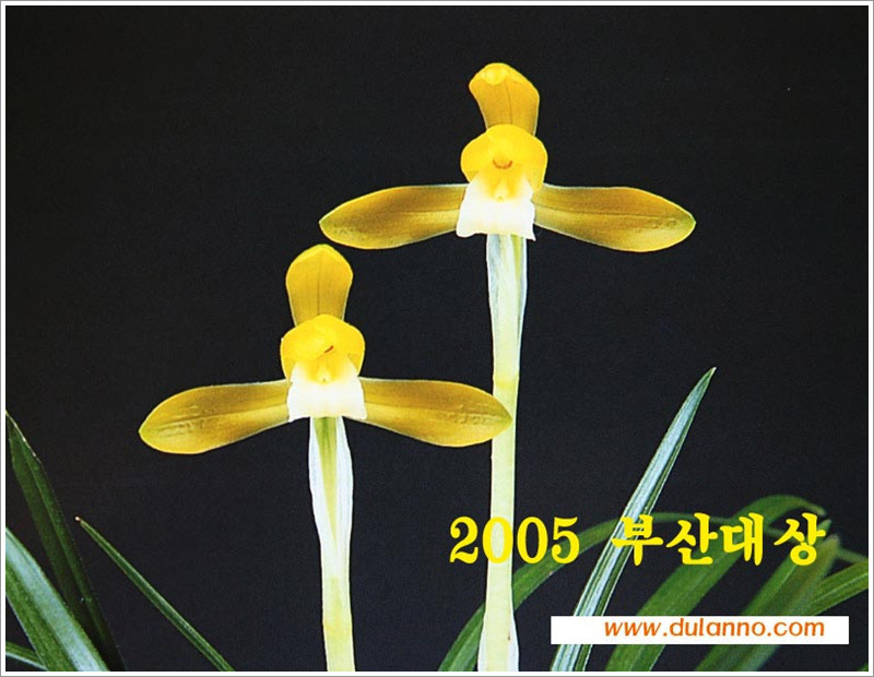 천향원 이미지