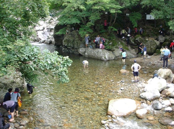 초아랑 경상남도 산청군 시천면 지리산 칠선계곡 가고싶다 | 인스티즈