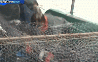 하루가 정말 너무 고단한 김세정.....jpgif | 인스티즈