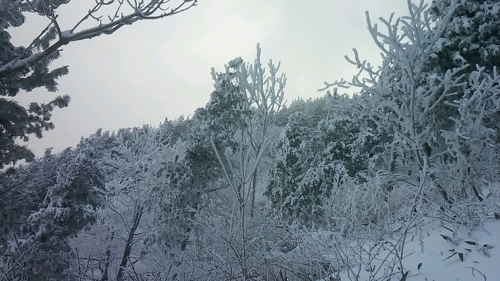 2017년 첫 눈 쌓인 산.jpg | 인스티즈