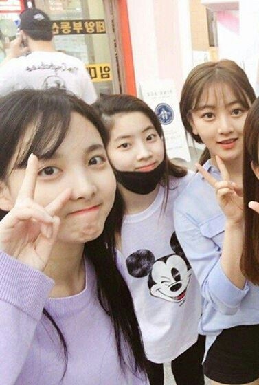 [트와이스] 길거리에서 찍힌 나연,다현,지효 | 인스티즈