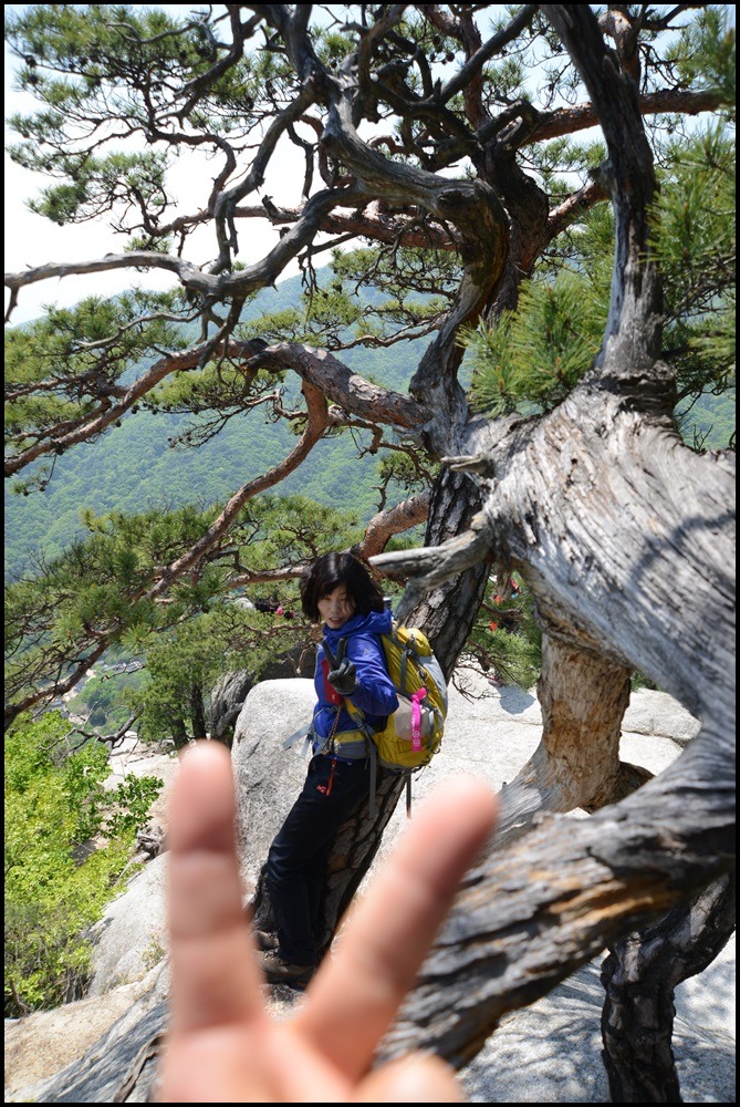 이산저산 이미지