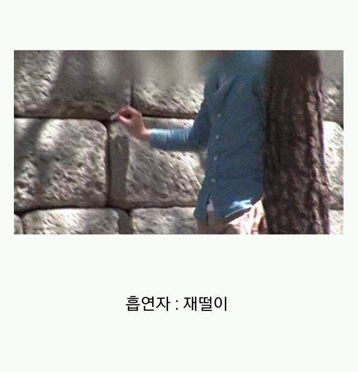 꽁초충 길빵충 가래충이 시룸인 이유 (feat.푸념주의) | 인스티즈