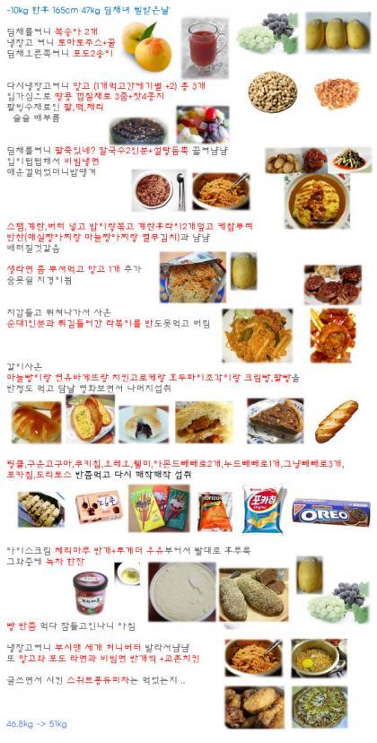 다이어트하는 사람은 공감한다는 익게 폭식 시리즈.txt | 인스티즈