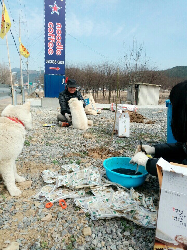 2월19일 일요일. 개소주가 되어버린 나의 가족 매실이를 예쁜매실나무로 만들어 보내주었습니다 | 인스티즈