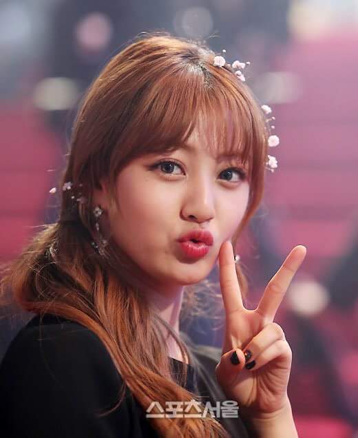 트와이스 푸린 지효 | 인스티즈