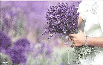 자연사진 보시고 힐링하세요 | 인스티즈