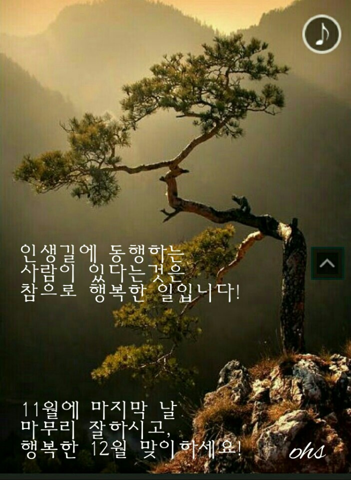 백향 이미지