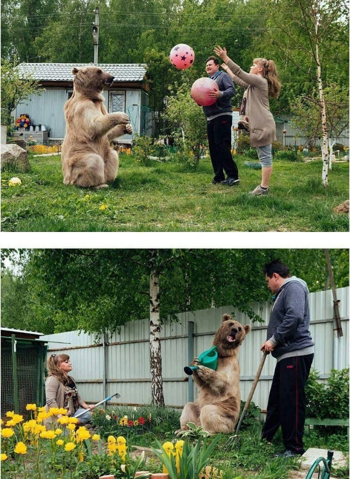 곰은 우리가족 | 인스티즈