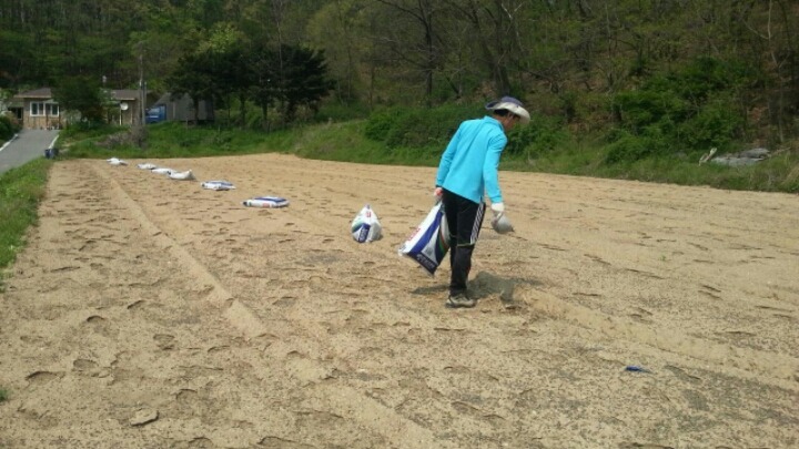 민들레 푸드(주) 이미지