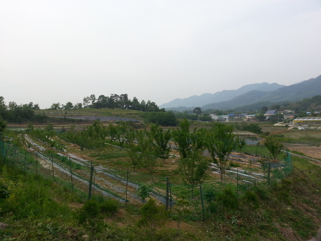 옥천풍경 이미지