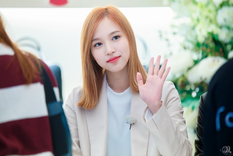 트와이스 펭귄이 되고 싶은 녀자 미나 (ㅋㅋㅋㅋ) | 인스티즈