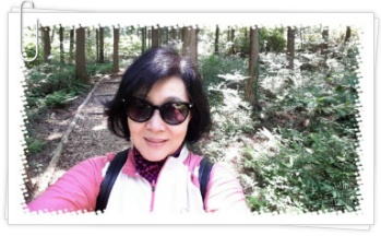 편백림 이미지