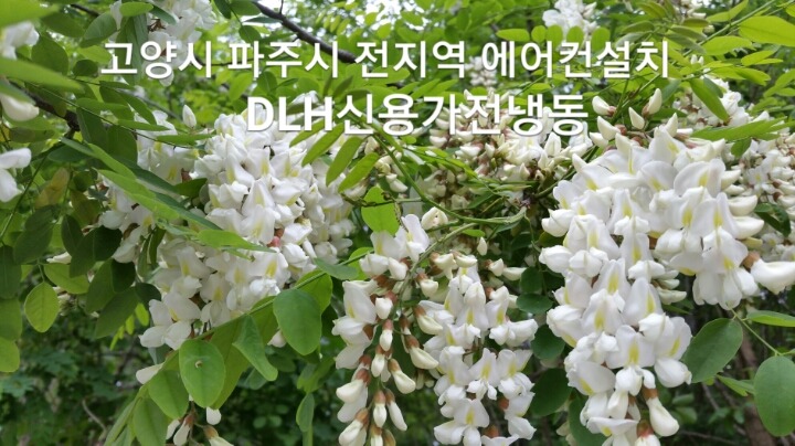 대우세탁소 이미지