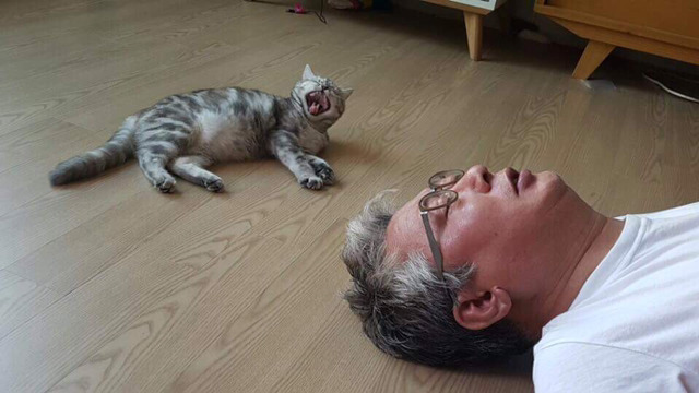 냥집사들 🐱 (사진 엄청많음 주의) | 인스티즈