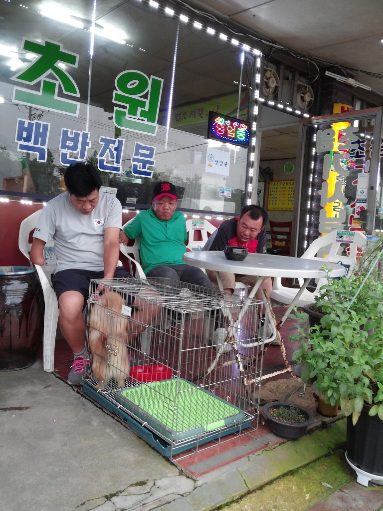 초원식당 이미지