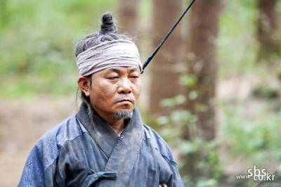 뿌리깊은나무 이미지