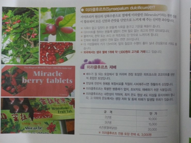 미라클후르츠 이미지