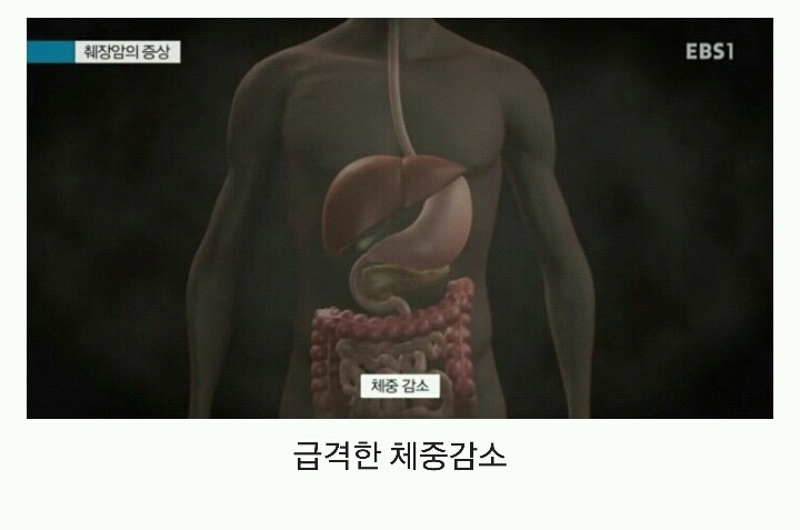 질병이 의심되어 검색해보다가 급 안심되는 이유 | 인스티즈