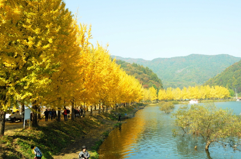 만추 이미지