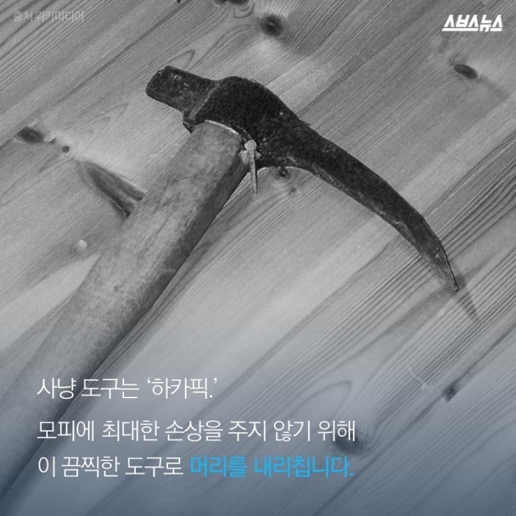  코리아 미워요 | 인스티즈