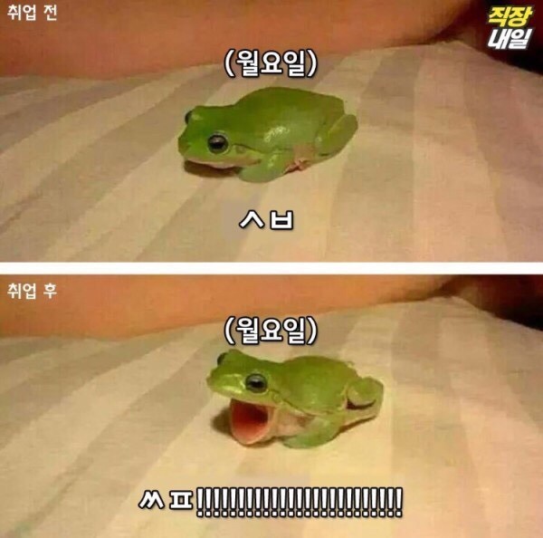 직장인이 되기 전/후 | 인스티즈