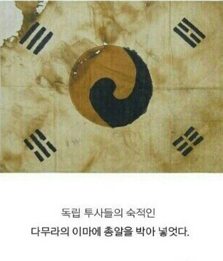 대한민국이라는 나라는 거저생긴 것이 아니다 | 인스티즈