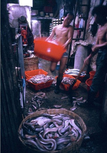 어둡고 지저분한 곳.jpg | 인스티즈
