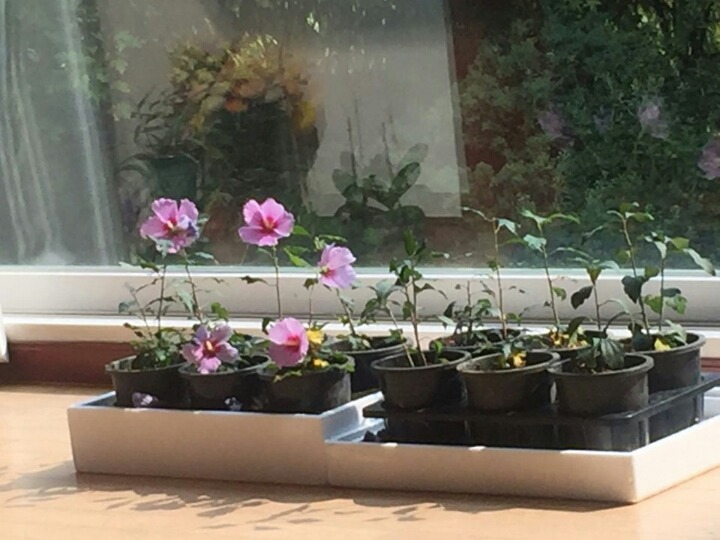 삼일통신 이미지