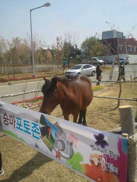 머리마을 이미지