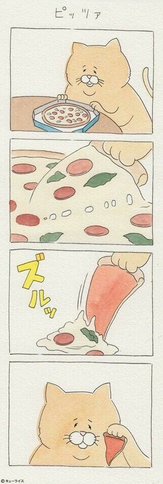 운 없는 고양이 시리즈.jpg | 인스티즈