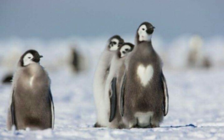 내안에 하트있당 | 인스티즈