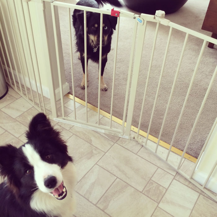 251E77375602ABFC3143D5