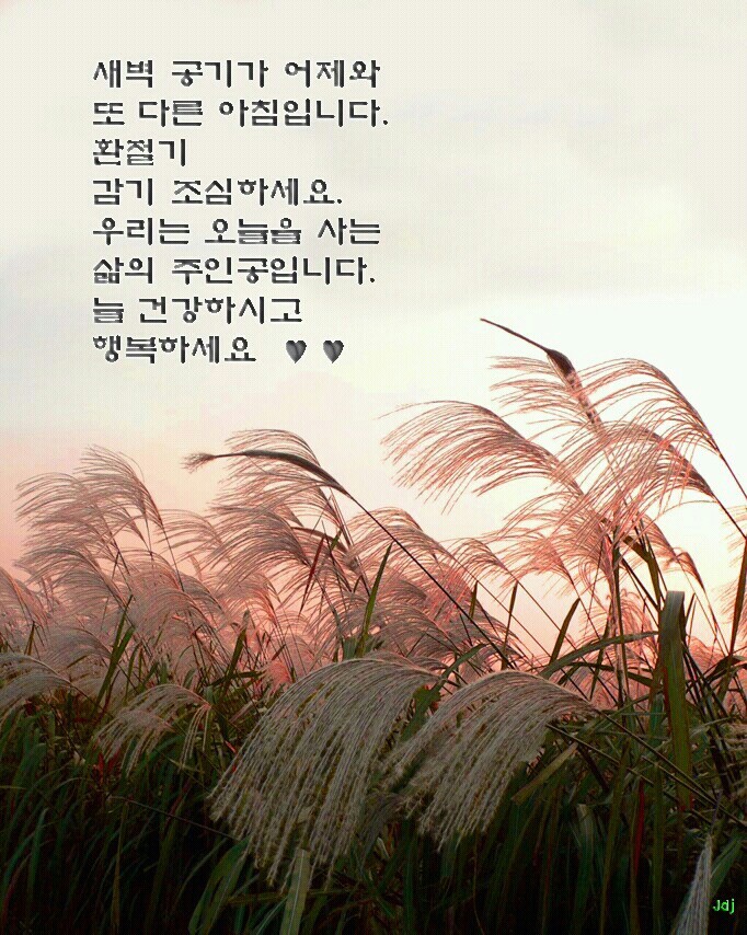 선경문구 이미지