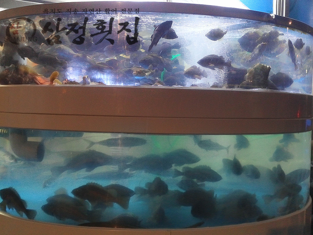 삼정횟집 이미지