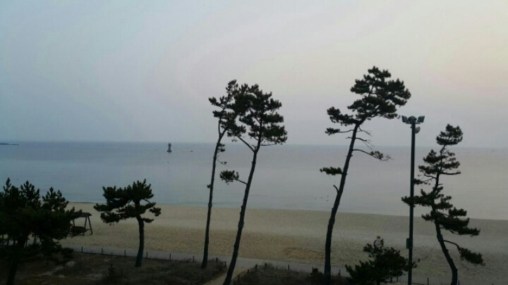 깨끗한세상 이미지