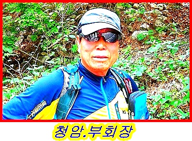 비봉수석 이미지