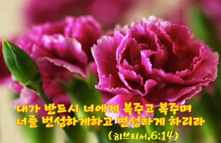 헵시바 이미지