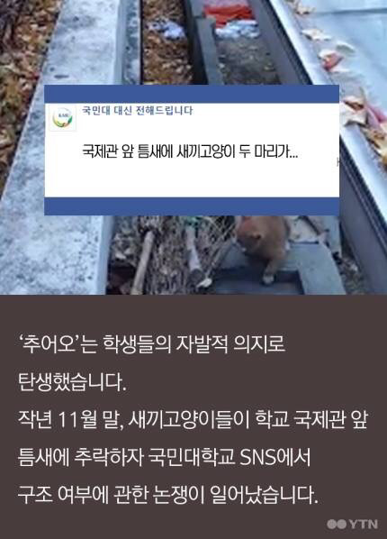 다시 태어난다면 국민대 고양이로... | 인스티즈