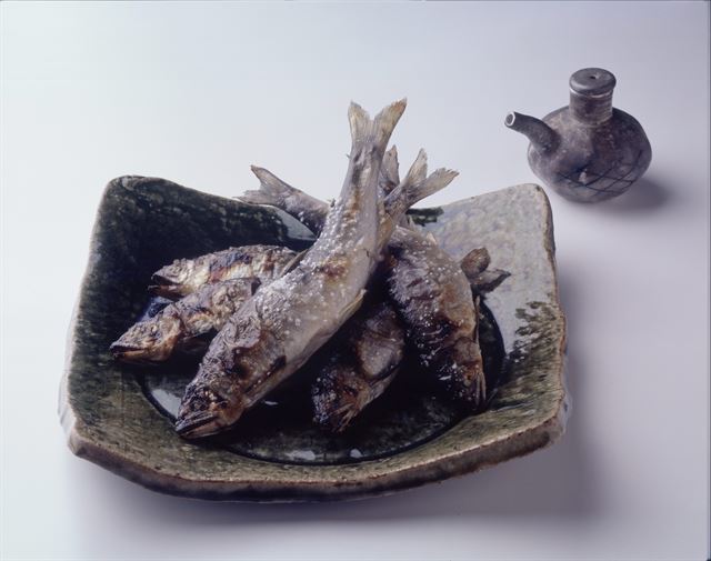 갖고 싶은 것들 | 인스티즈