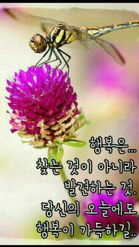 개별화물 이미지