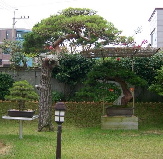 아름두리 이미지